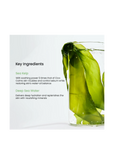 Biodance Refreshing Sea Kelp Real Deep Mask